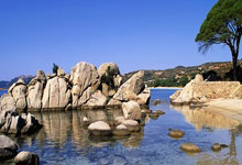 多宝体育app -樊(fán)振东出(chū)戰(zhàn)德甲，全队身(shēn)穿紅(hóng)色唐装亮相，樊(fán)振东首(shǒu)盘3-1擊(jī)败對(duì)手(shǒu)