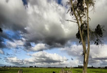 多宝体育app -“法老”萨拉赫和利物浦说再见