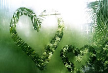 多宝体育app -“法老”萨拉赫和利物浦说再见