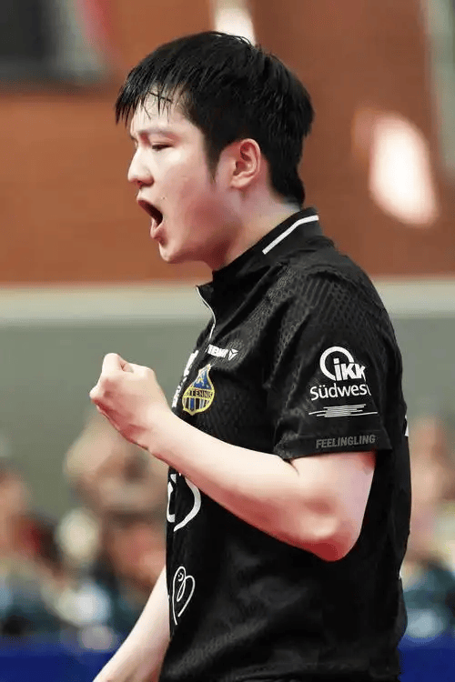 正式退出，樊振东无缘，中国乒超遗憾，原因曝光，王励勤失望